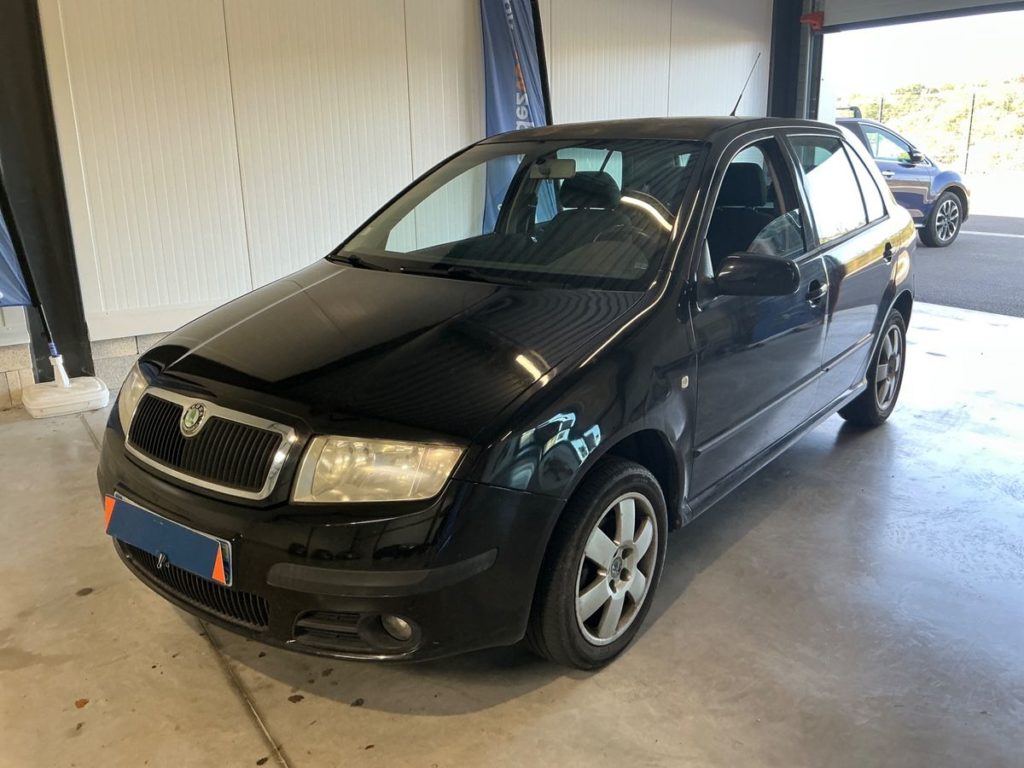 Skoda Fabia 1.9L TDI 100CH Edition 100 / 4990€